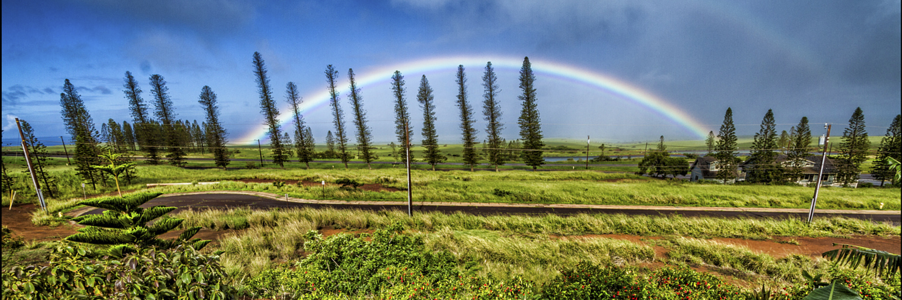 Rainbow and Palms on Molokai