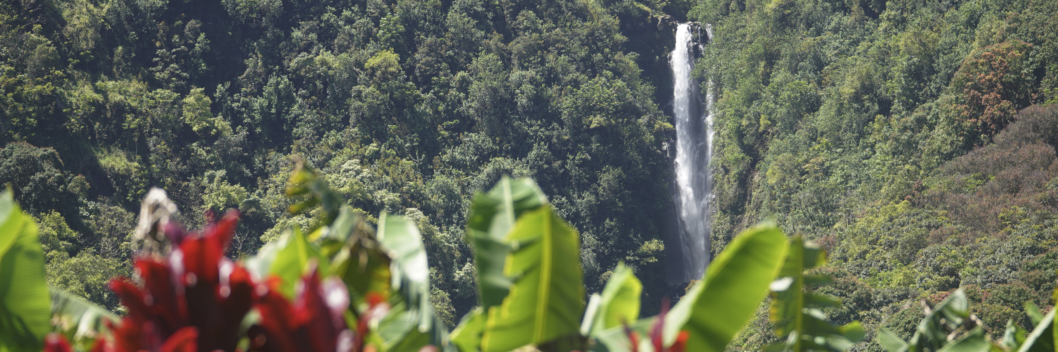 Waterfall in Wailua Maui.