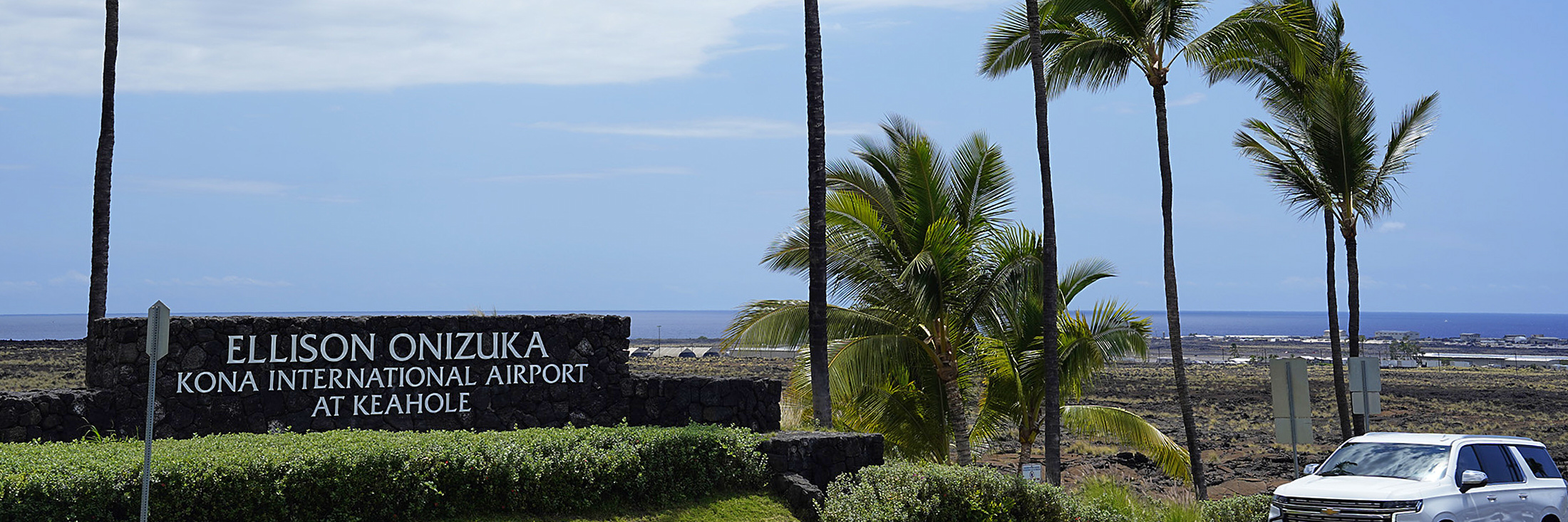 Coconut palm trees in Kailua-Kona are beginning to suffer from coconut rhinoceros beetles Wednesday, April 30, 2025, at the Ellison Onizuka Kona International Airport at Keahole. (Kevin Fujii/Civil Beat/2025)