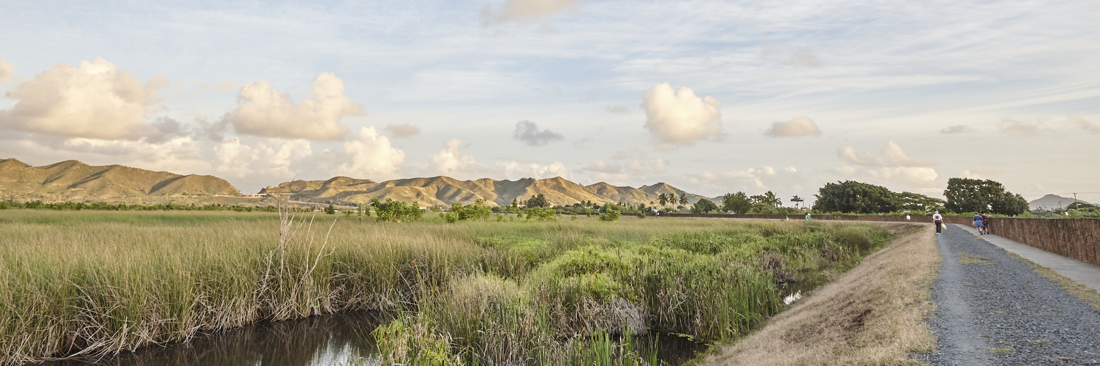 Koolau Mountain Range viewed from Kawainui Marsh walk in Kailua