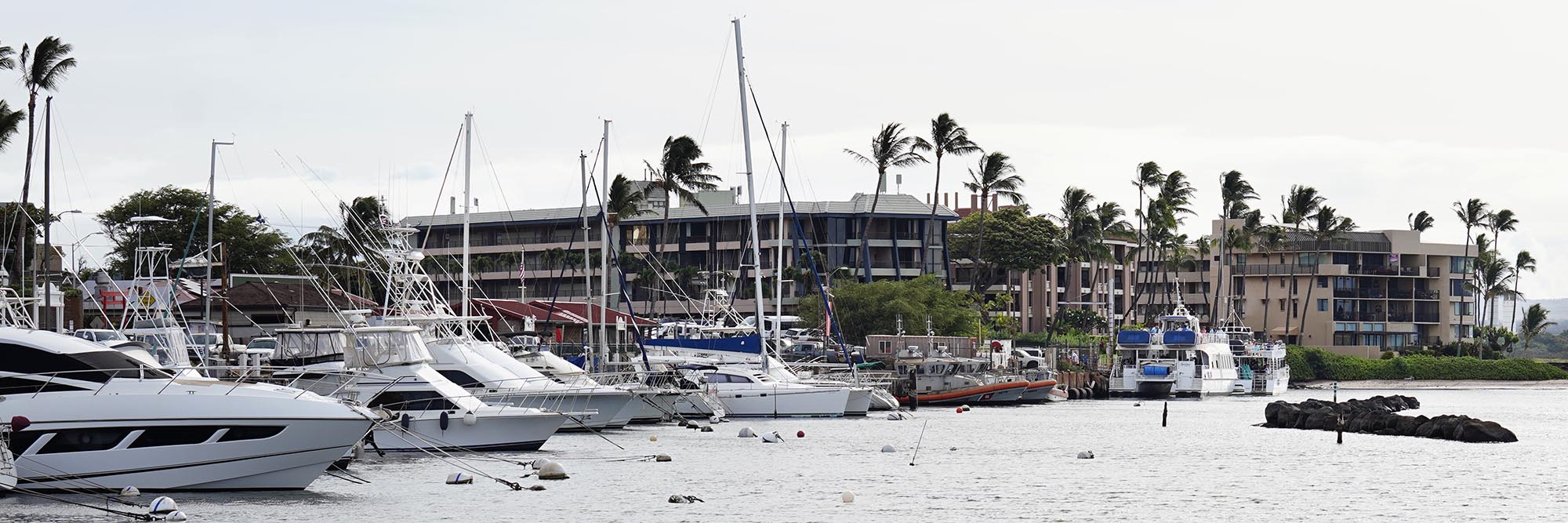 Boats in Māʻalaea Harbor and condominium buildings along Hauʻoli Street are photographed Tuesday, June 10, 2025, in Māʻalaea. (Kevin Fujii/Civil Beat/2025)